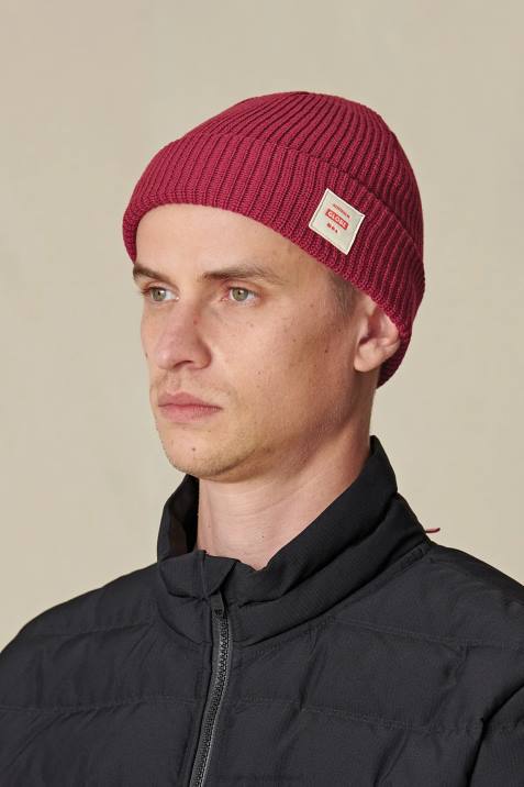 Globe Brand Sustain Beanie V64D366 Accessories Rhubarb