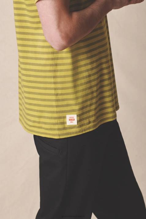 Globe Brand Horizon Striped Tee V64D306 Clothing Acid Lime