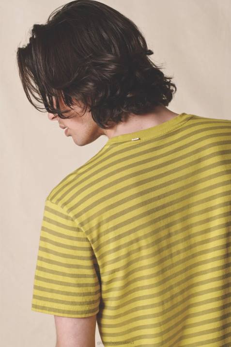 Globe Brand Horizon Striped Tee V64D306 Clothing Acid Lime