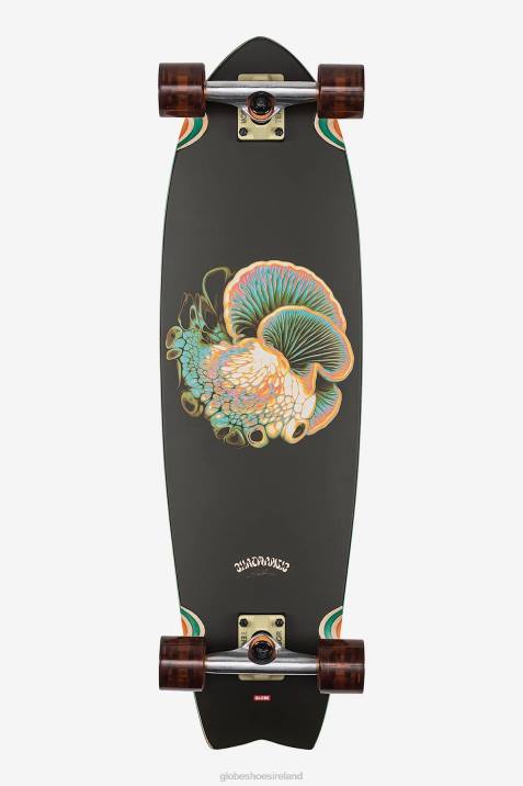 Globe Brand Chromantic 33" Cruiser V64D118 Skateboards Bio-Morph