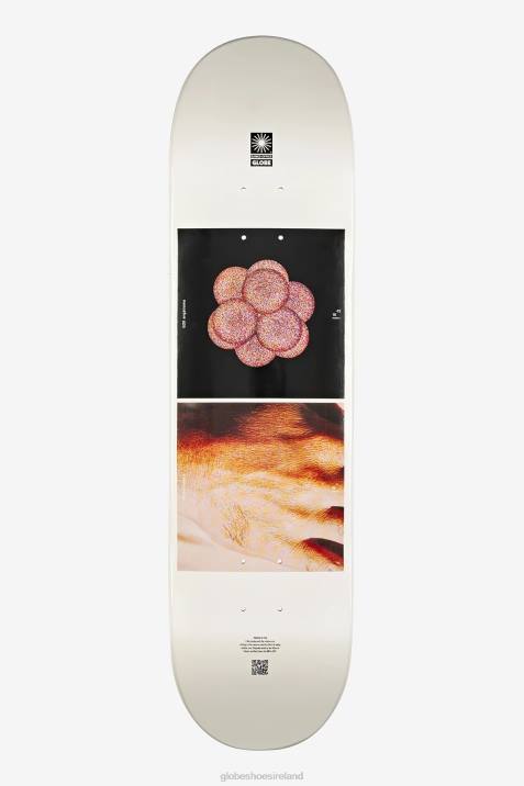 Globe Brand Eames Powers of Ten Deck V64D236 Skateboards Inward