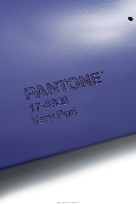 Globe Brand Pantone Color of the Year Box Set V64D217 Skateboards Set 2021-2022